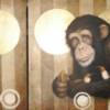 singes
acrylique
commande spéciale
vendu