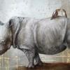 Rhino
acrylique sur toile
Commande spécial
vendu