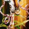 MARGUERITE
24x48
acrylique sur toile
vendu